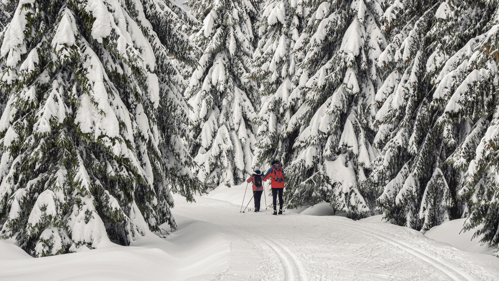 Winterzauberwald