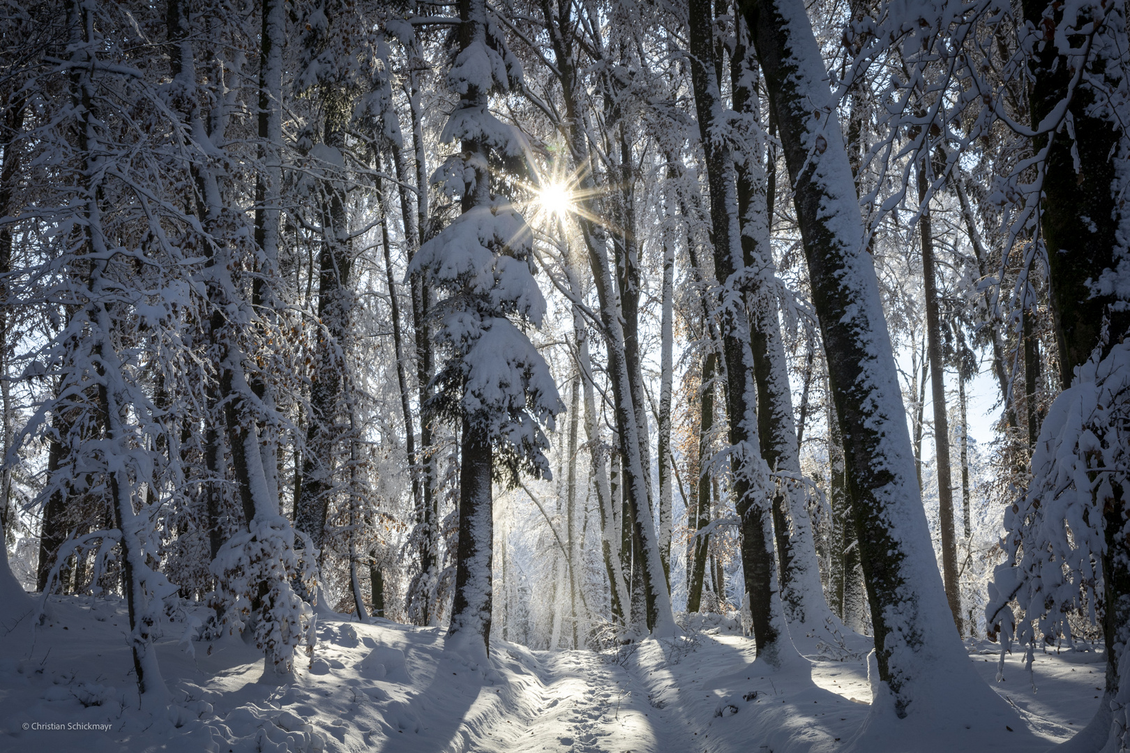 Winterzauberwald