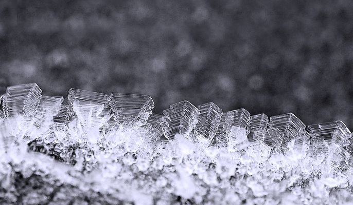 Winterzauberwelt ...