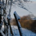 Winterzaun D85_2736-2