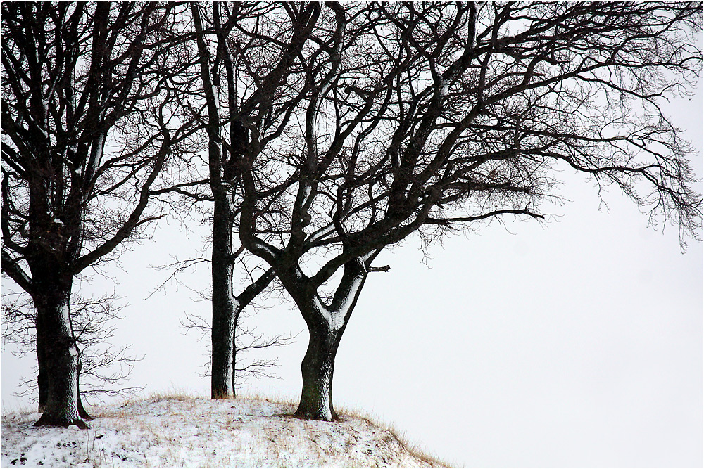 Winterzeichnung ...