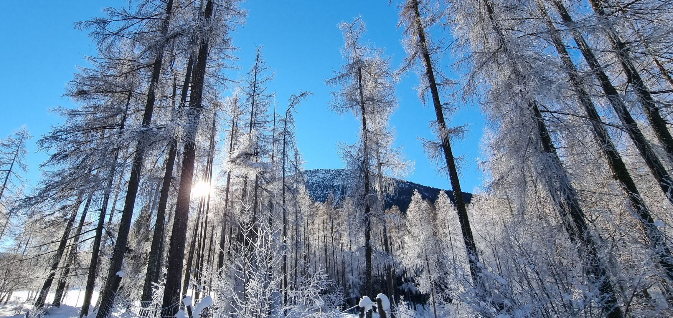 Winterzeit