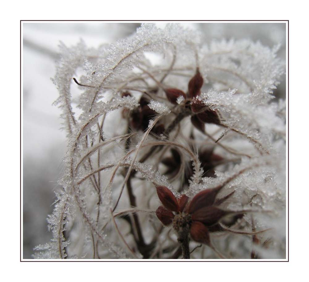 ... Winterzeit ** ...