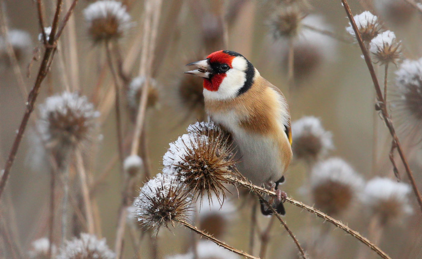 Winterzeit