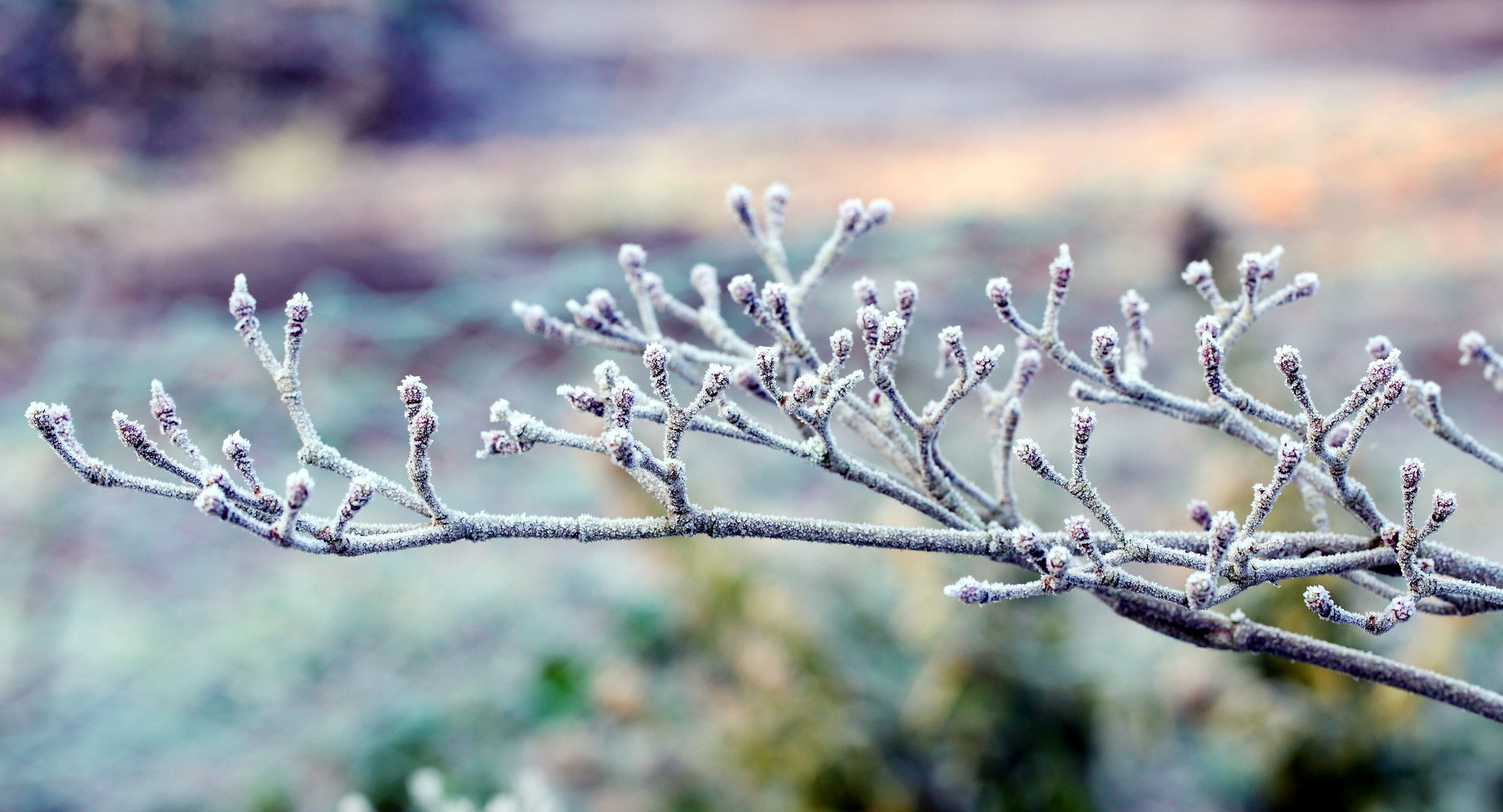 Winterzeit...