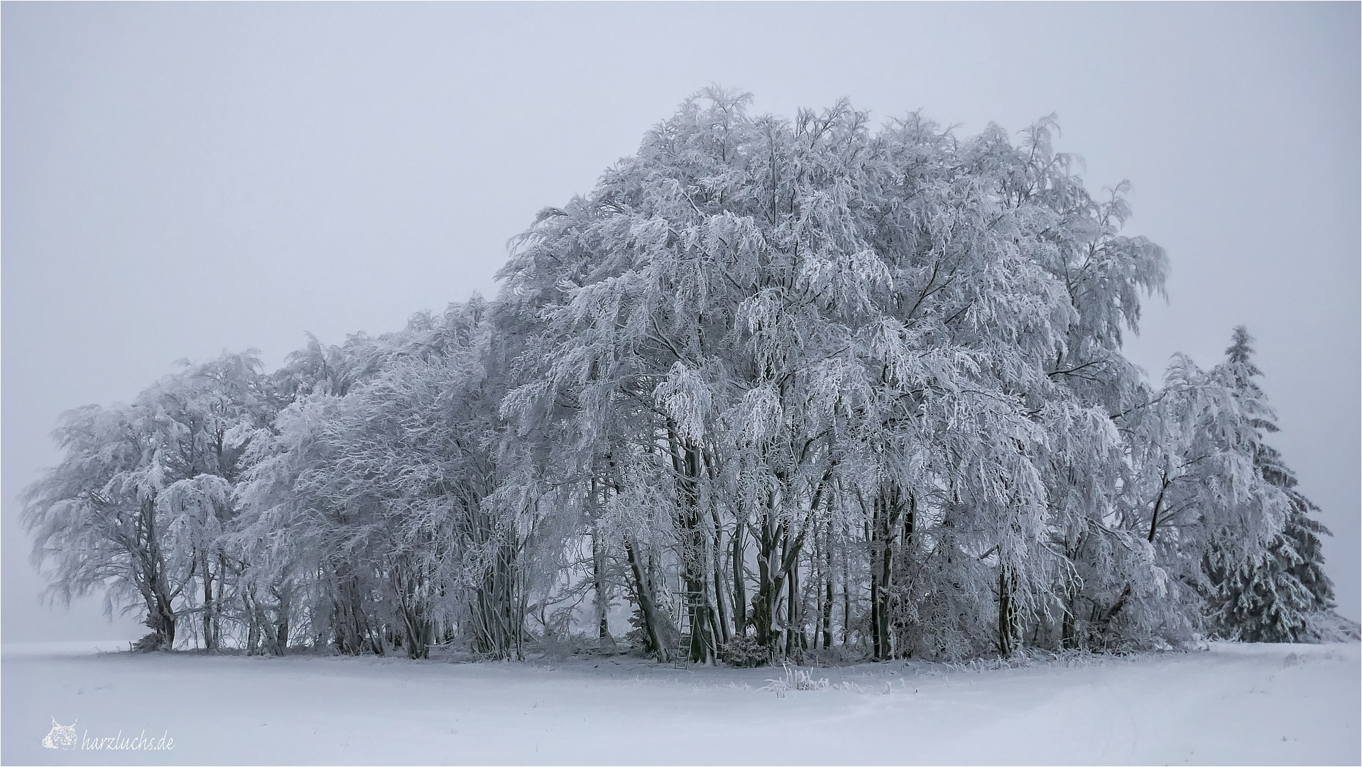 Winterzeit