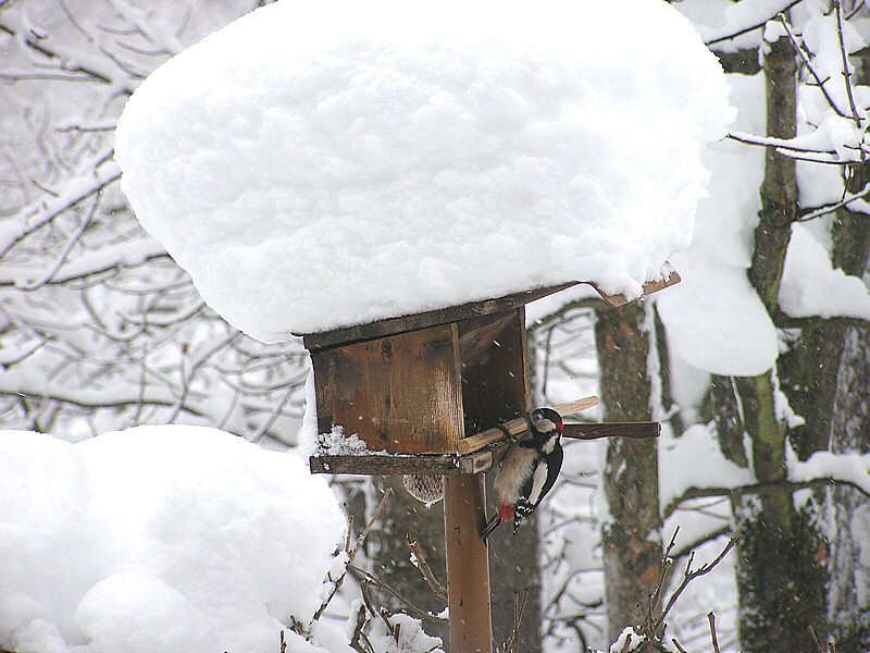 Winterzeit