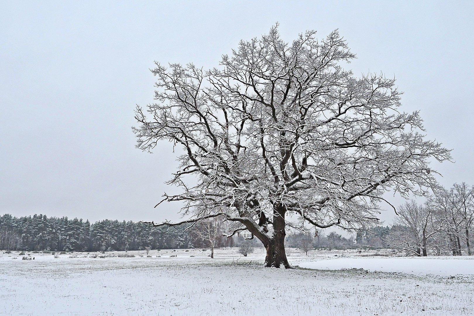 Winterzeit...