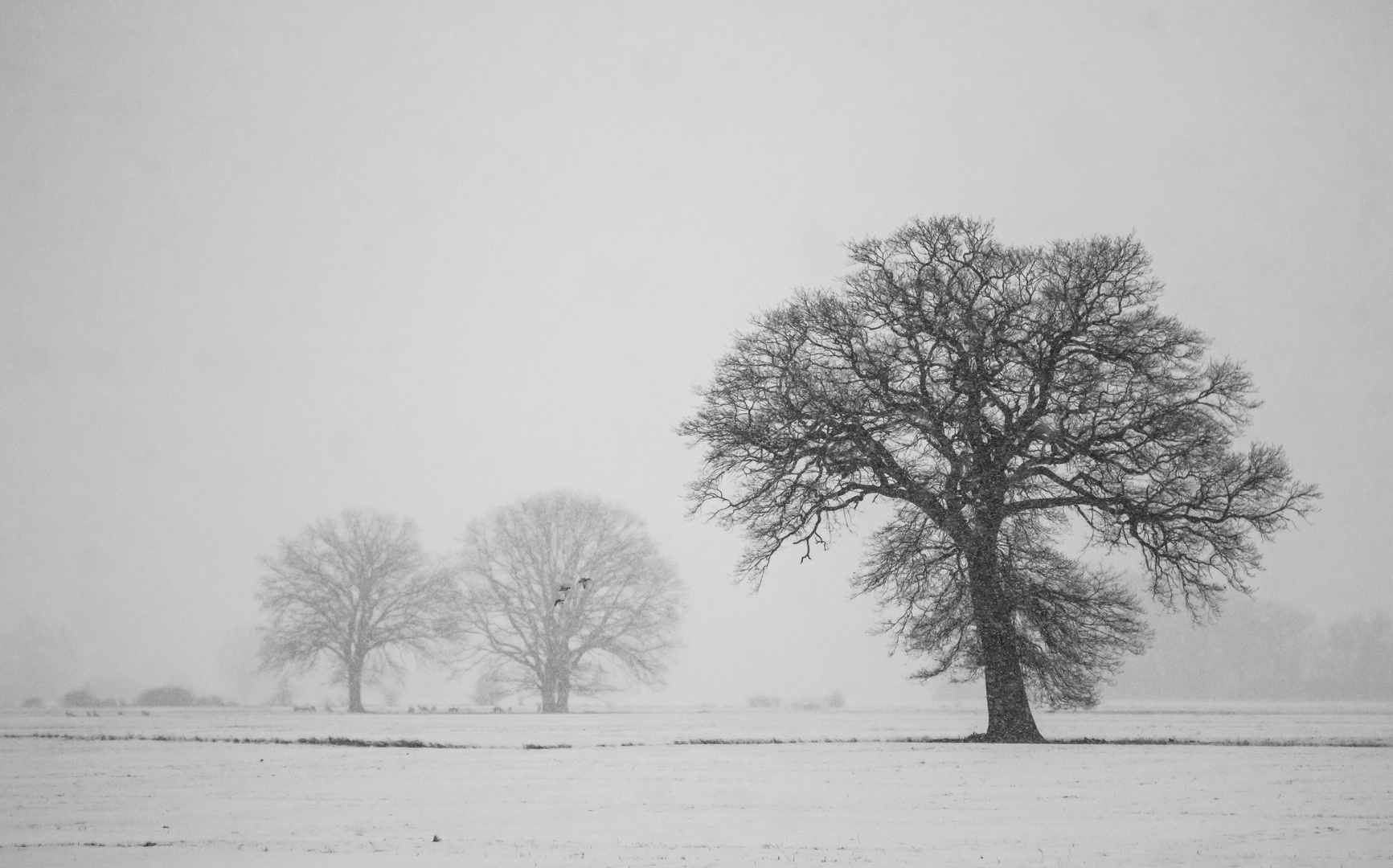 Winterzeit