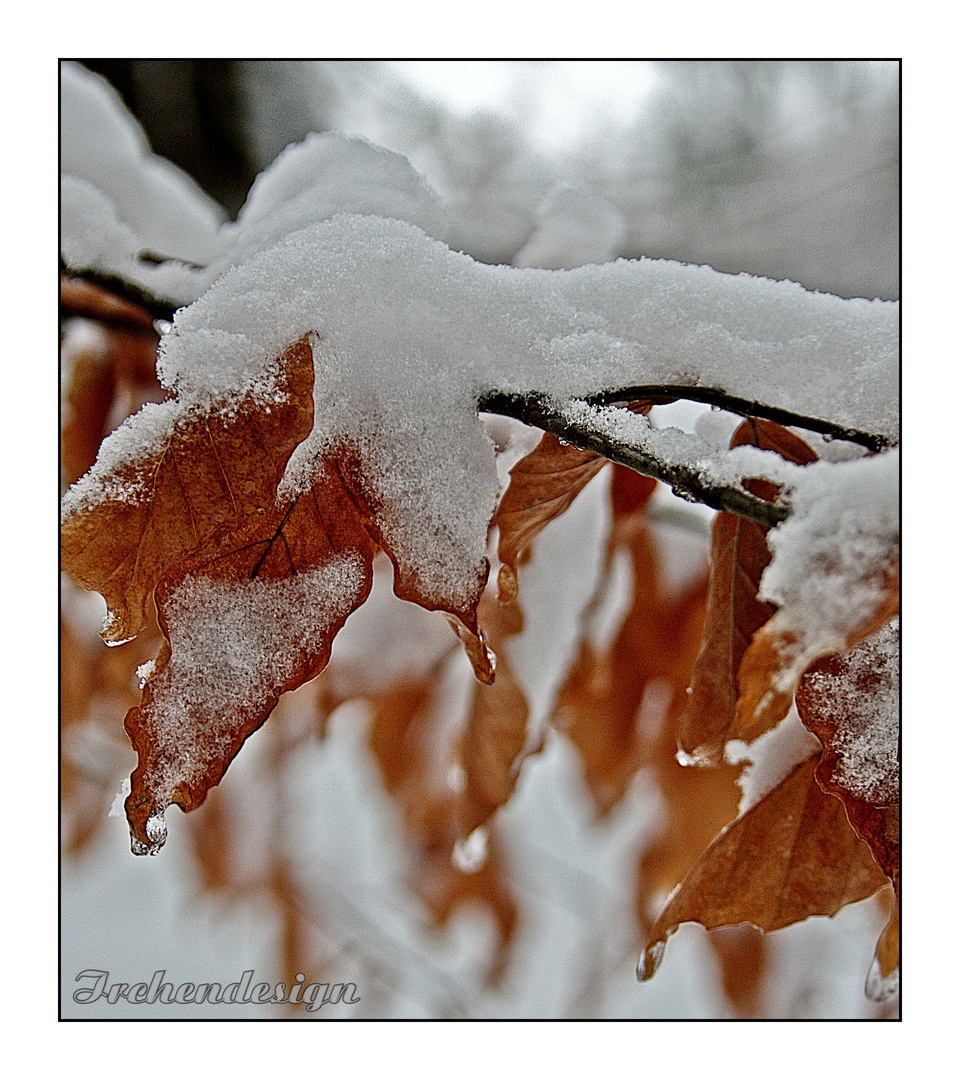 Winterzeit...