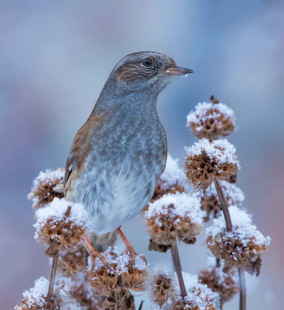 Winterzeit