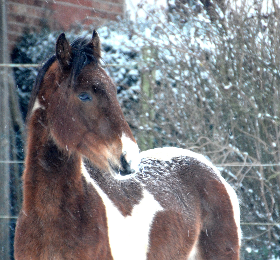 Winterzeit