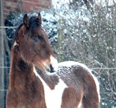 Winterzeit