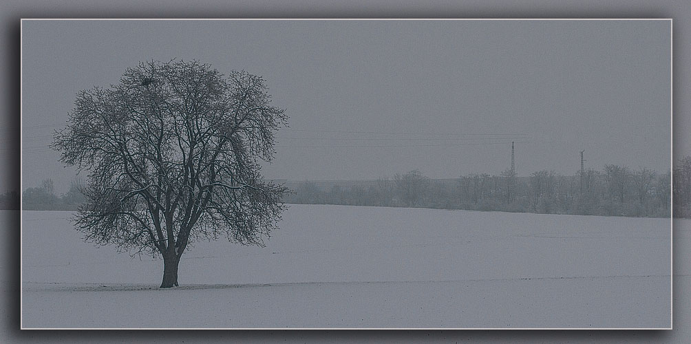 WINTERZEIT 6