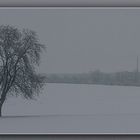 WINTERZEIT 6