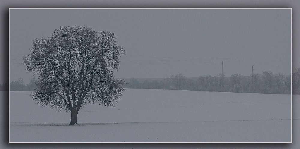 WINTERZEIT 6