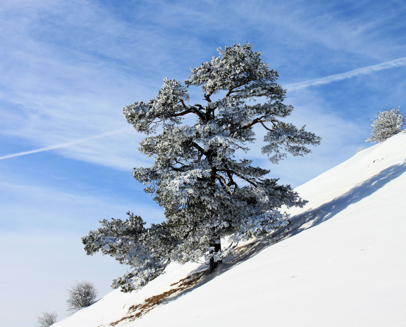 Winterzeit