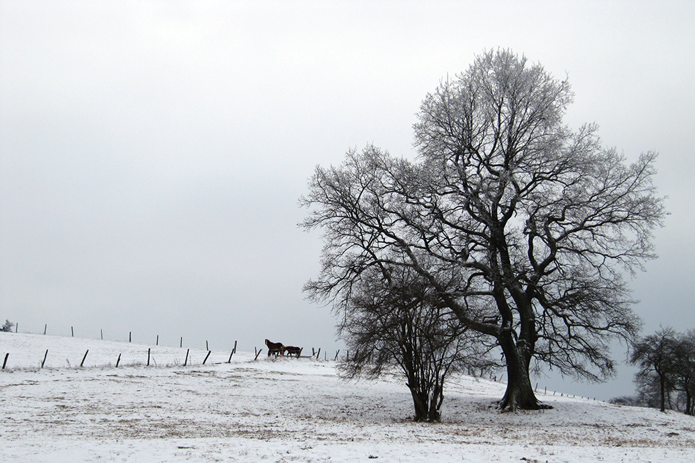 Winterzeit