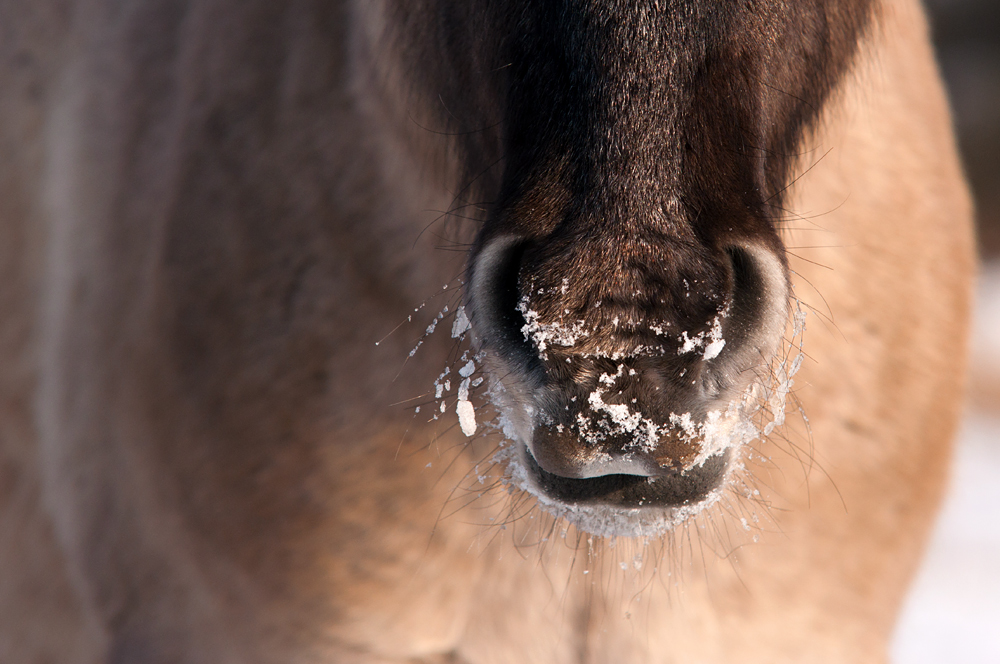 Winterzeit