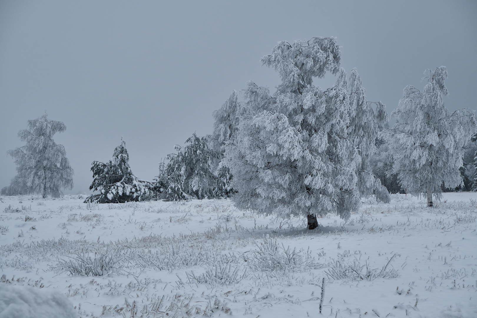 Winterzeit