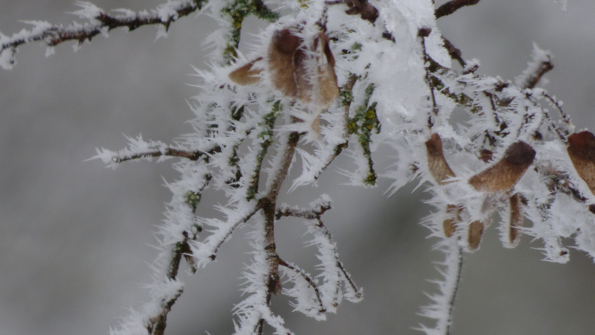 Winterzeit 