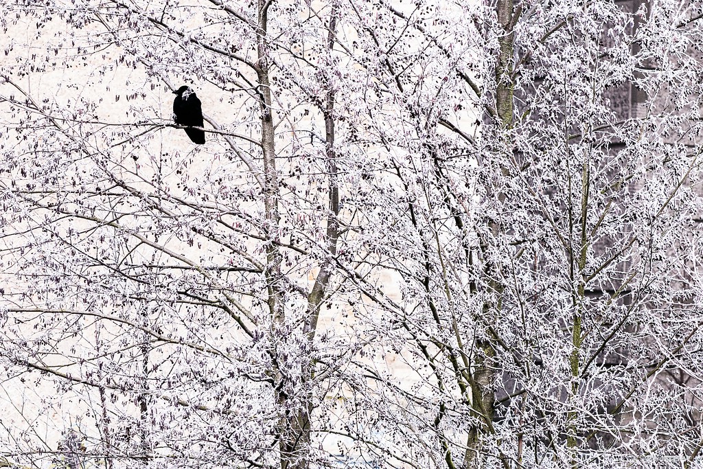 Winterzeit...