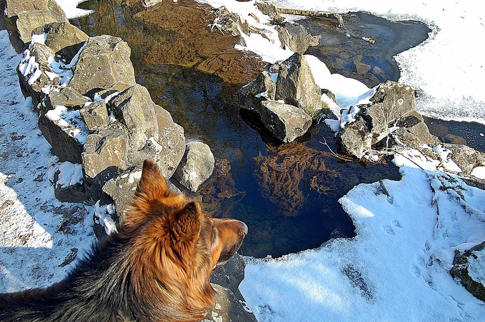 Winterzeit Foto & Bild jahreszeiten, winter, natur Bilder auf