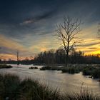 Winterzeit am Niederrhein