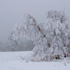 Winterzeit am Schliffkopf