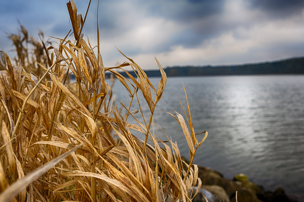 Winterzeit am See