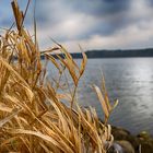 Winterzeit am See