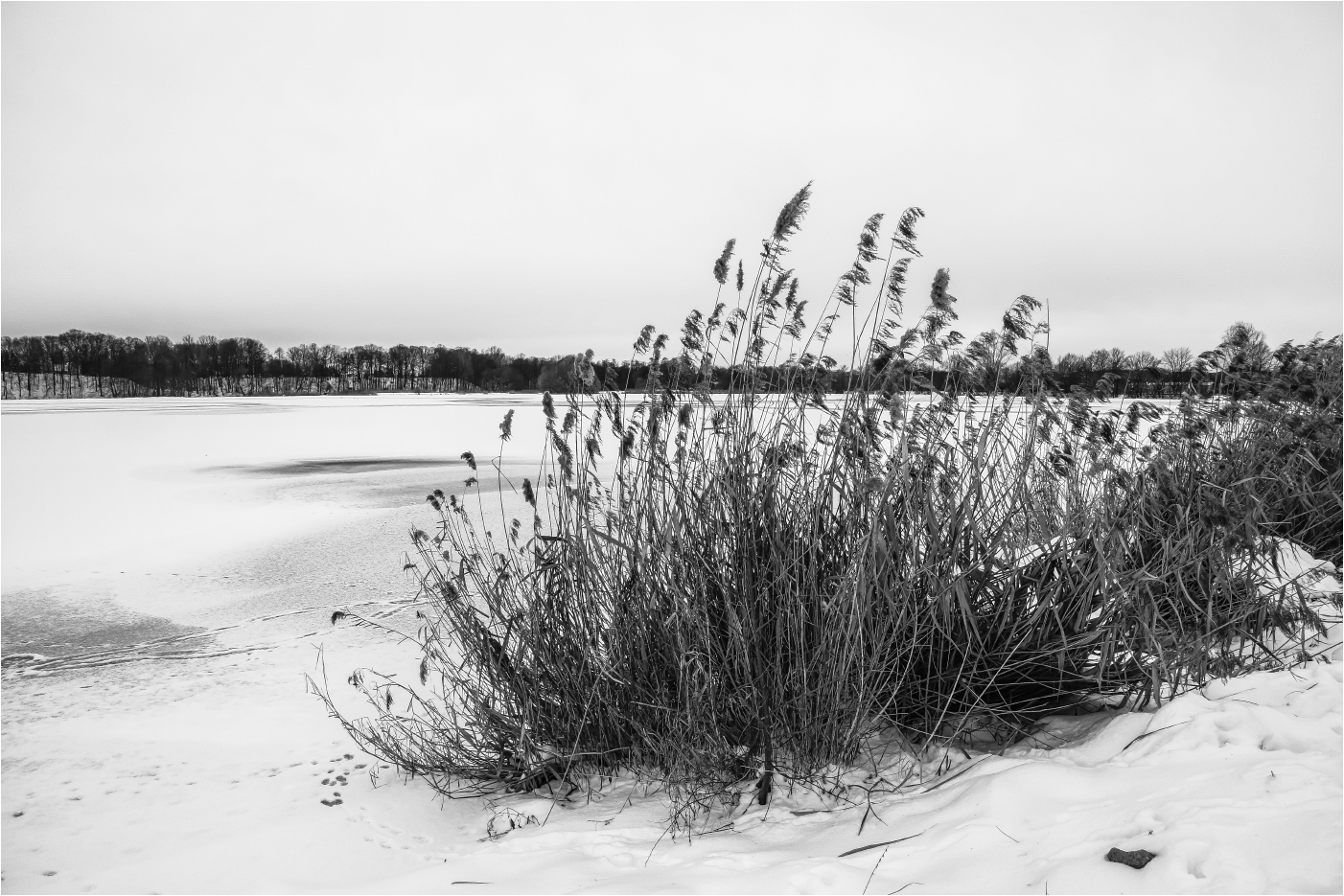 Winterzeit am See