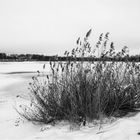 Winterzeit am See