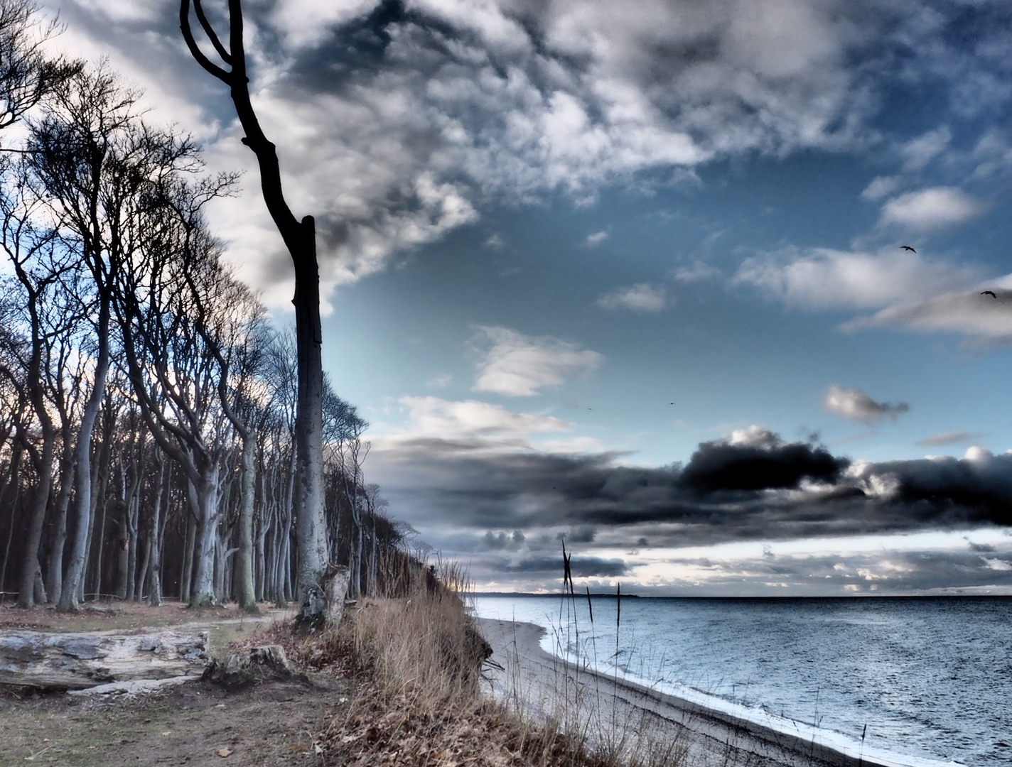 Winterzeit am Strand