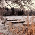 Winterzeit am Venekotensee