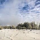 Winterzeit am Vogelskopf