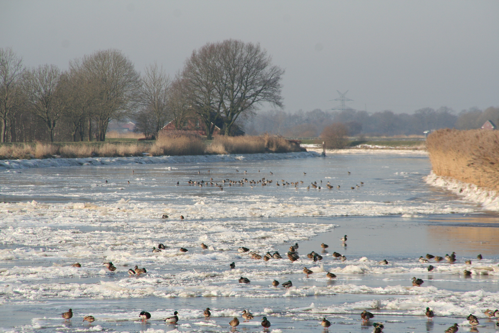 Winterzeit an der Jümme