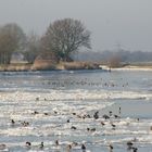 Winterzeit an der Jümme