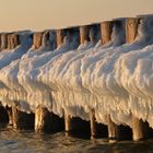 Winterzeit auf Hiddensee