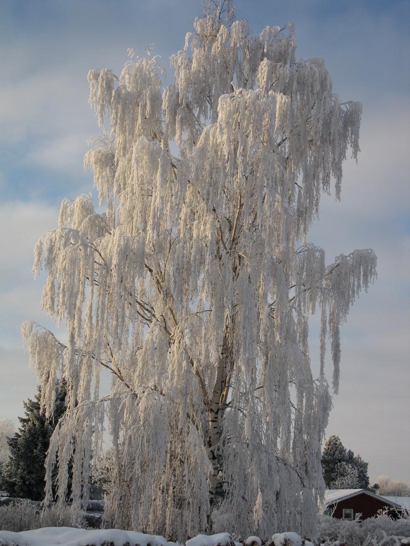 Winterzeit