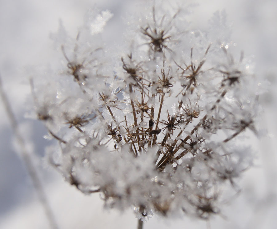 Winterzeit