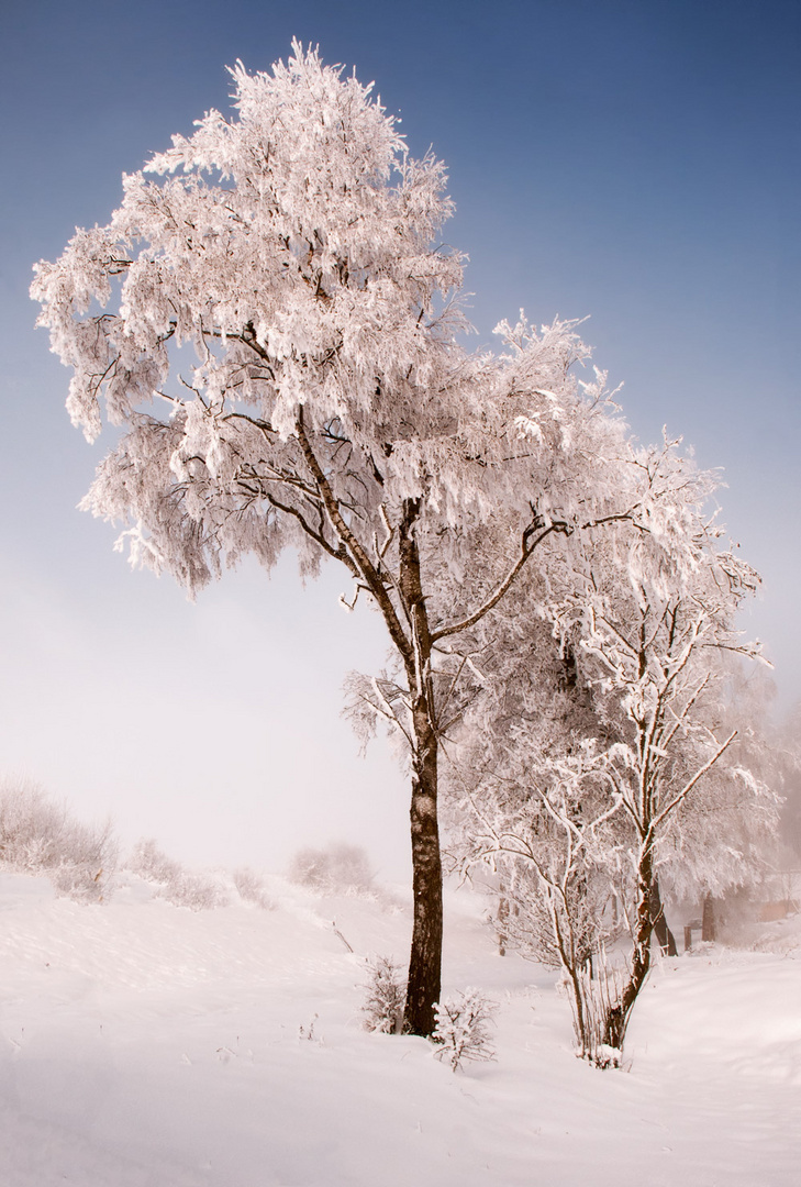 Winterzeit