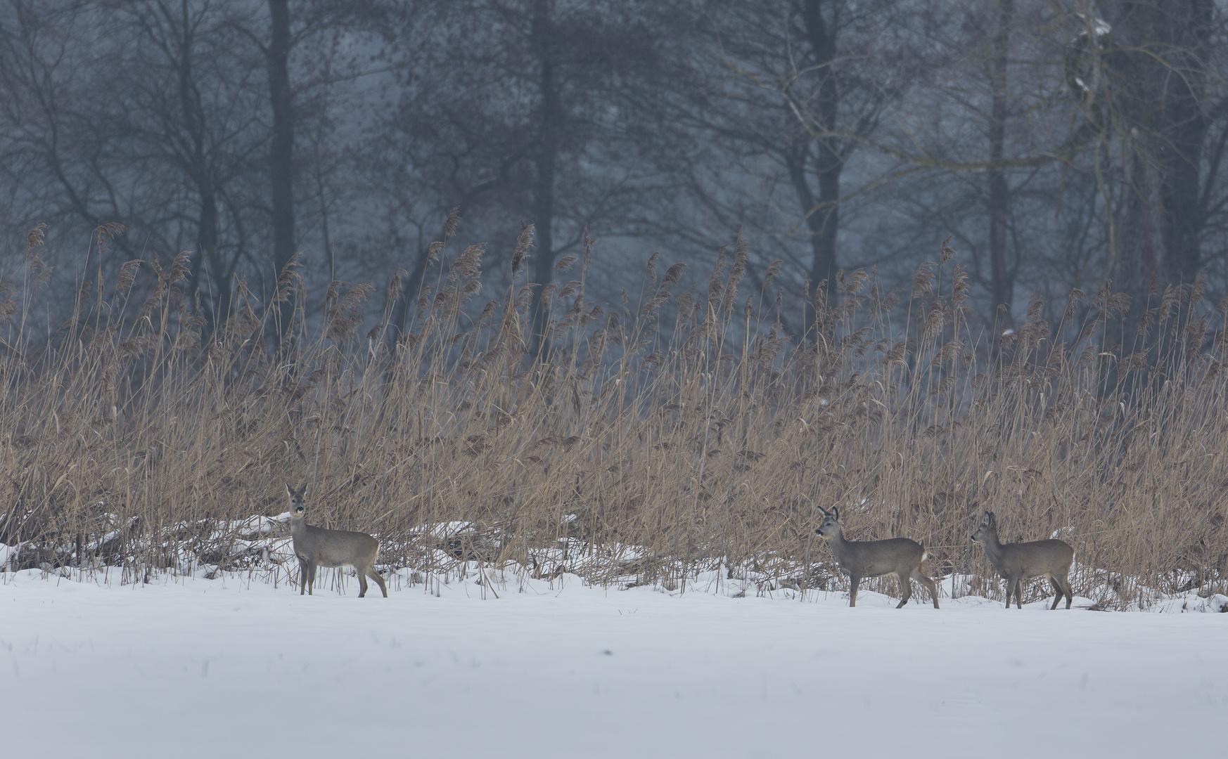 Winterzeit...