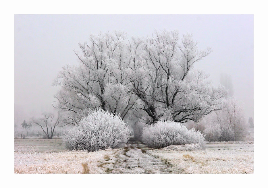 Winterzeit von Alexander Scheibbs