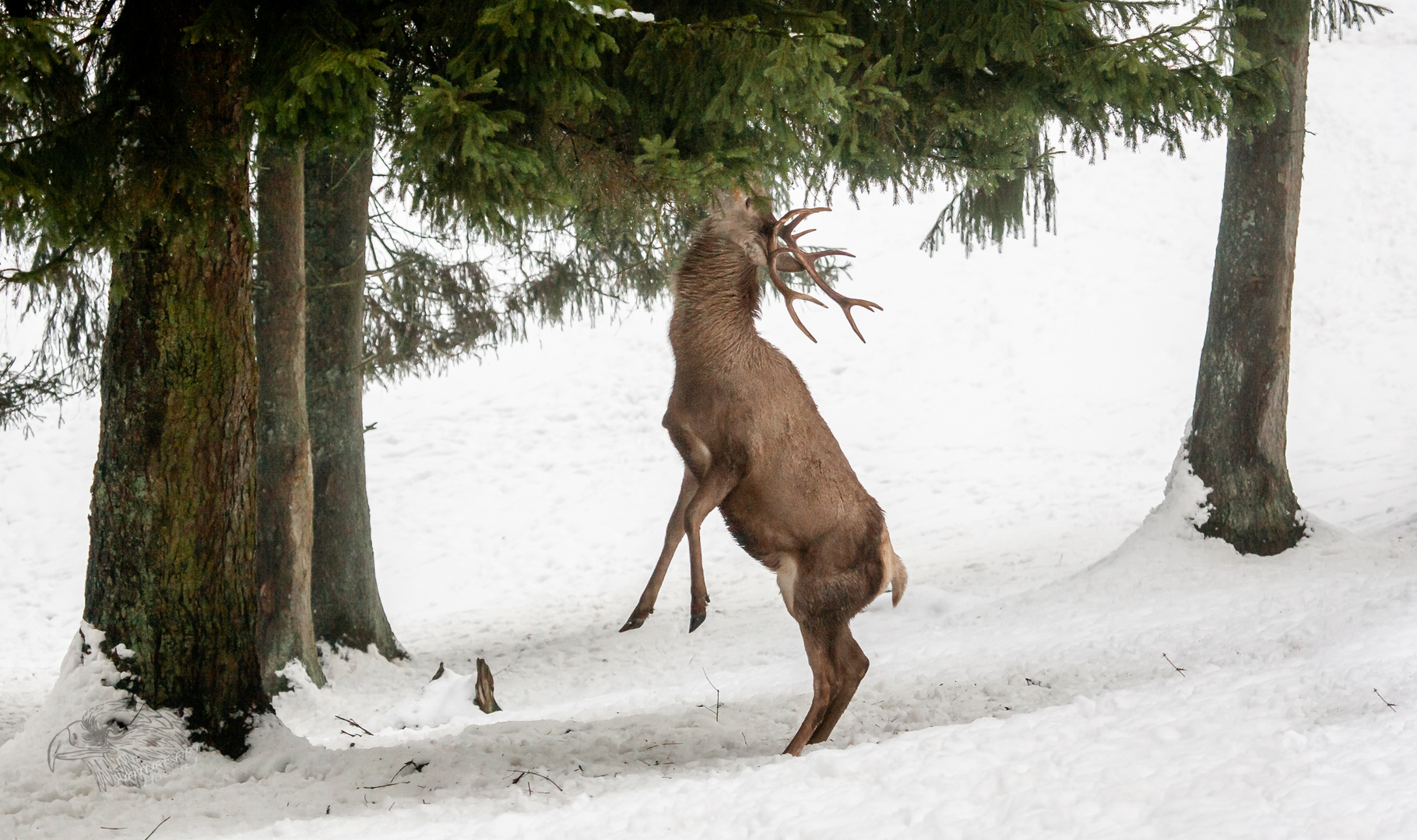 Winterzeit