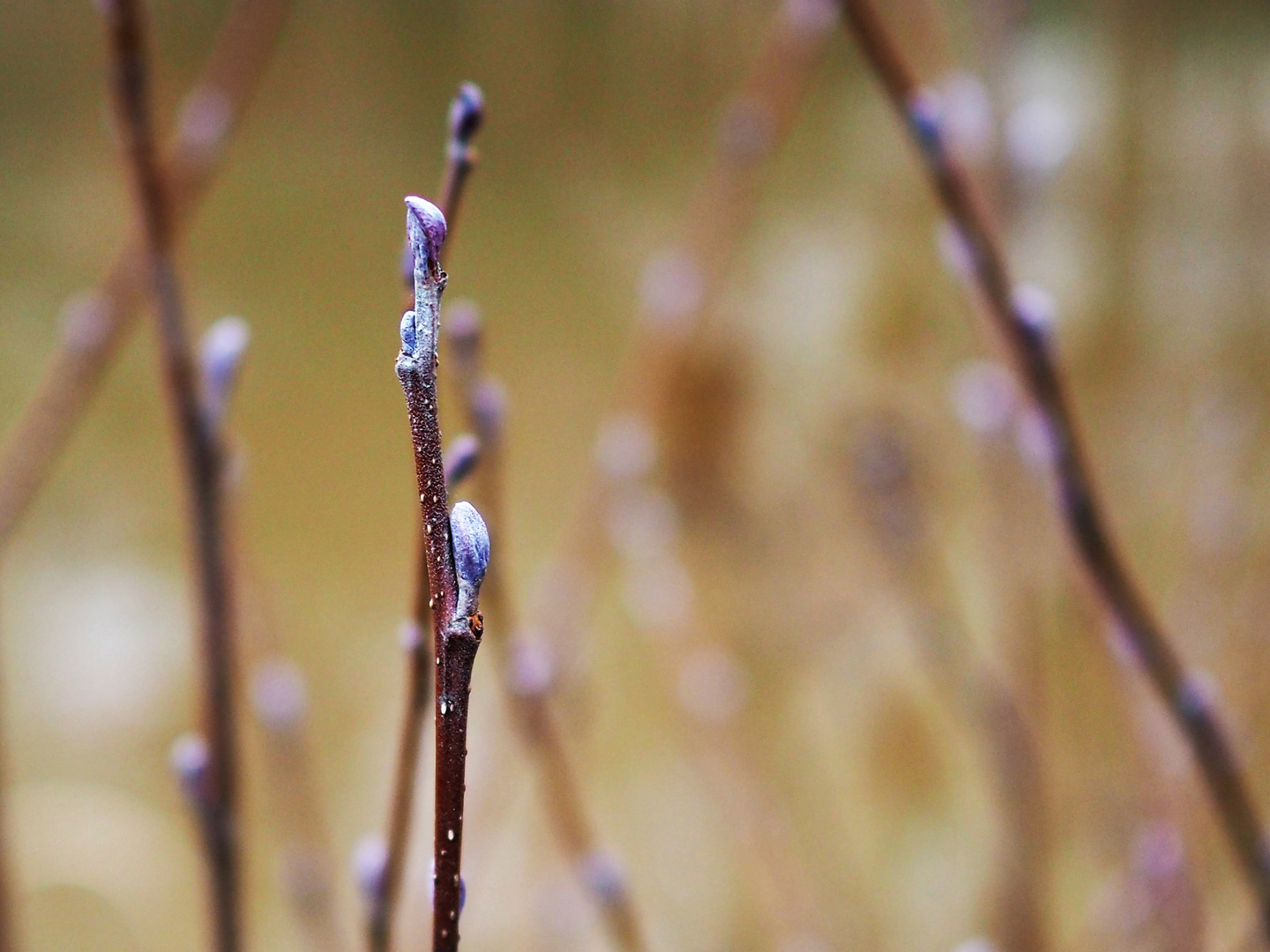 Winterzeit