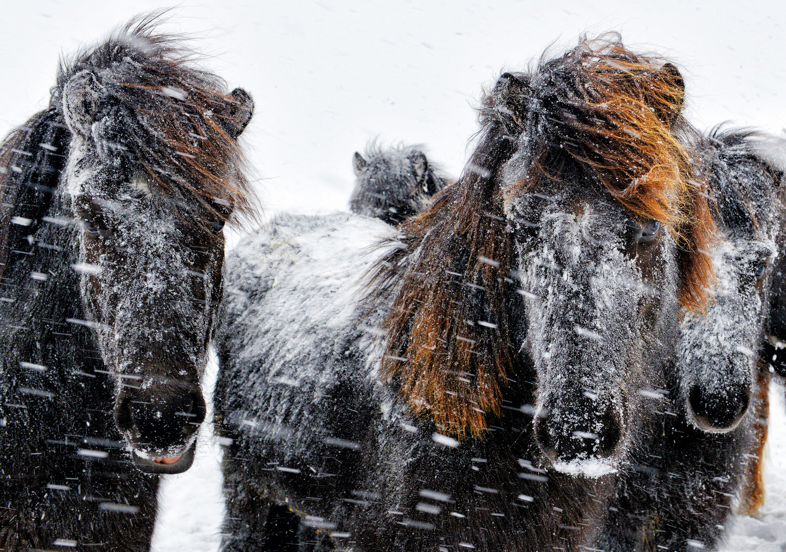 Winterzeit