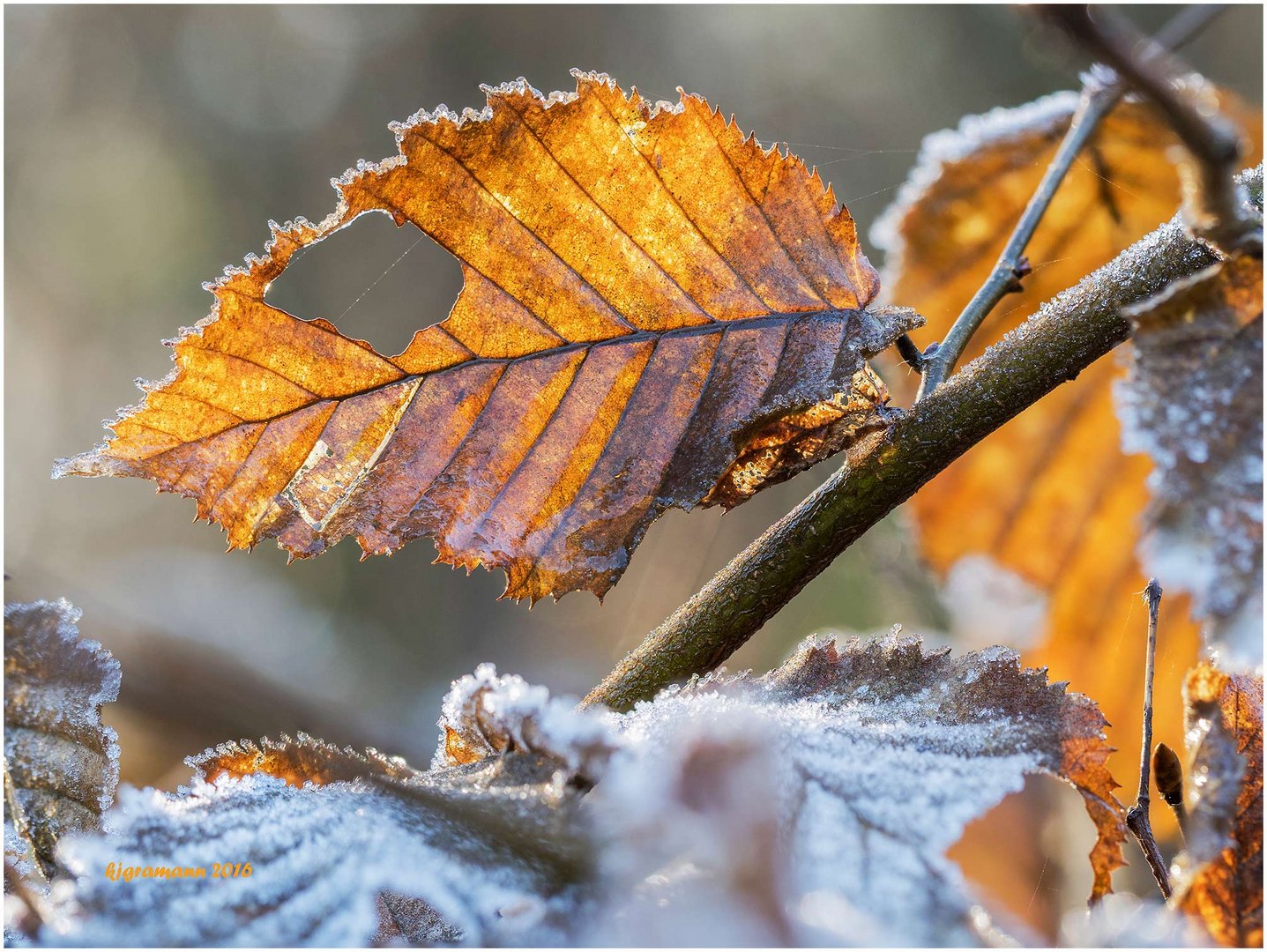 winterzeit - eiszeit.......