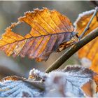 winterzeit - eiszeit.......