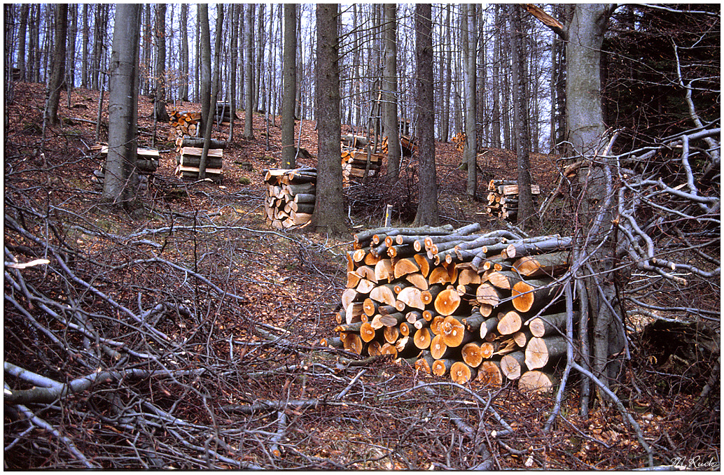 Winterzeit - Holzmachzeit